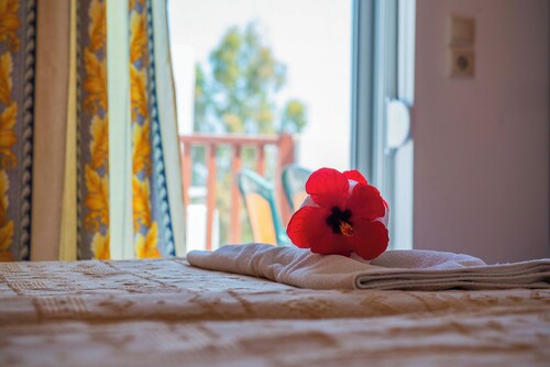 A flower and fresh towels welcoming guests